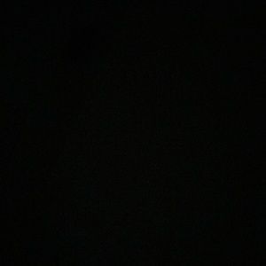 Meet your Posher, Gladys